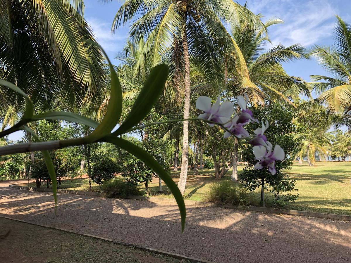 Hotel Lagoon Paradise Negombo Zewnętrze zdjęcie
