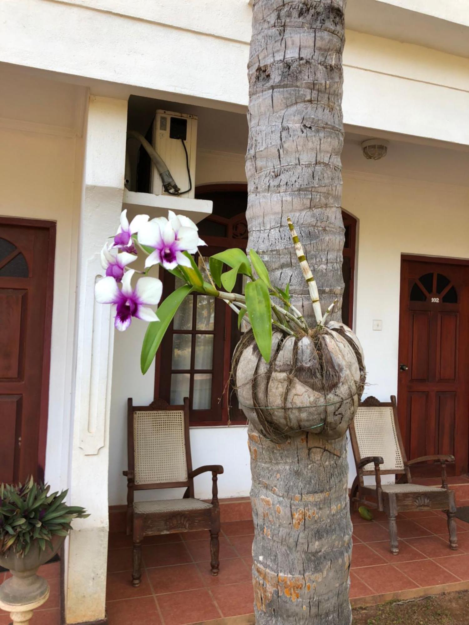 Hotel Lagoon Paradise Negombo Zewnętrze zdjęcie