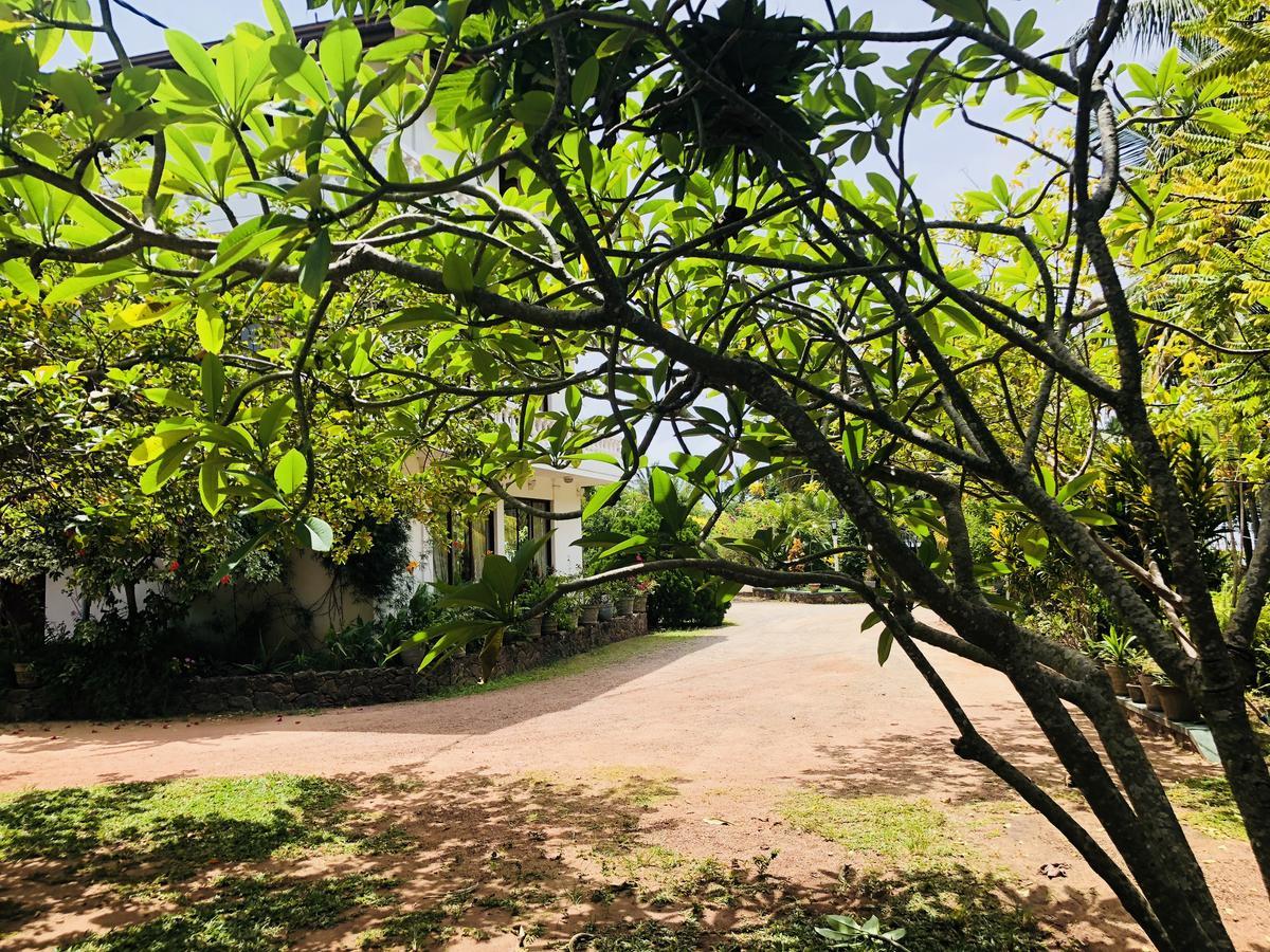 Hotel Lagoon Paradise Negombo Zewnętrze zdjęcie