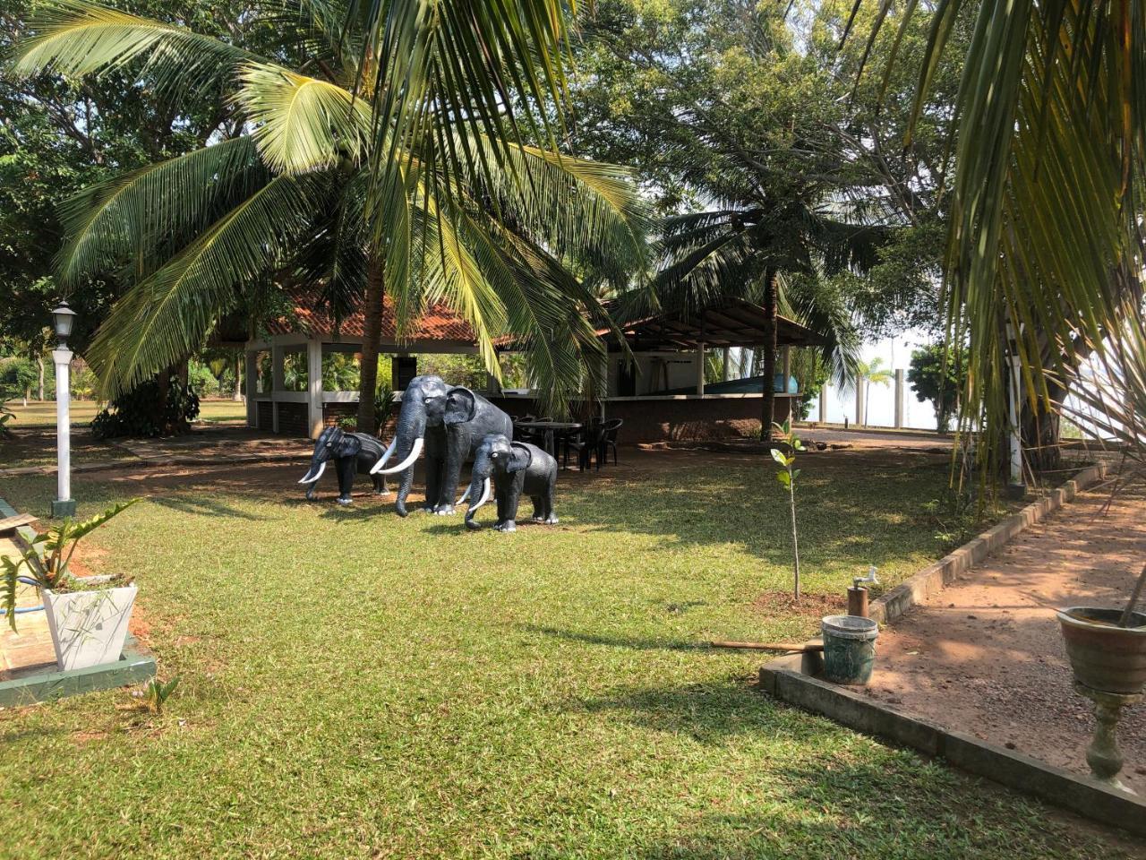 Hotel Lagoon Paradise Negombo Zewnętrze zdjęcie